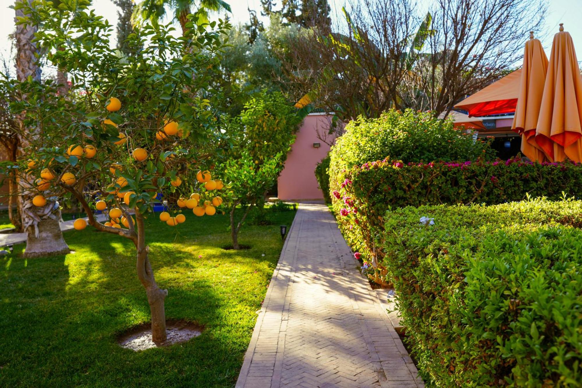 Riad Redwan Douar Caïd Layadi Εξωτερικό φωτογραφία